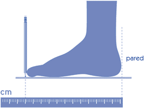 Calcular tallaje